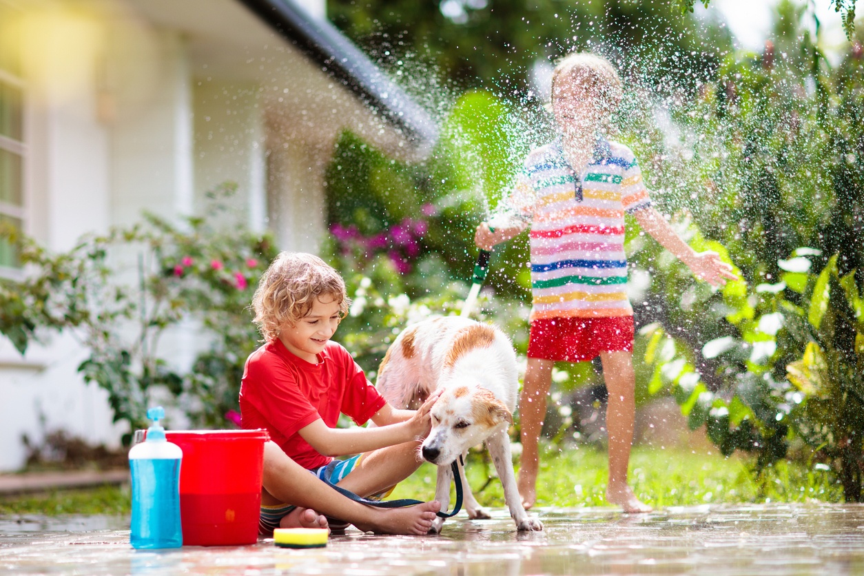 Two children playing with a dog, Summer Safety: Protecting Pets and Farm Animals from the Heat