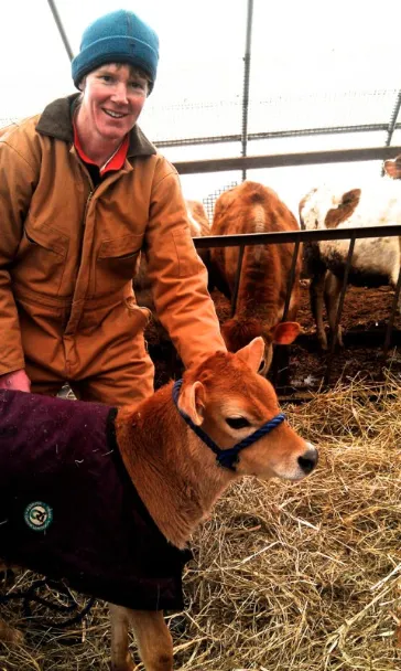 vet and a jacketed calf, Pet Disaster Preparedness:  Horses and Livestock