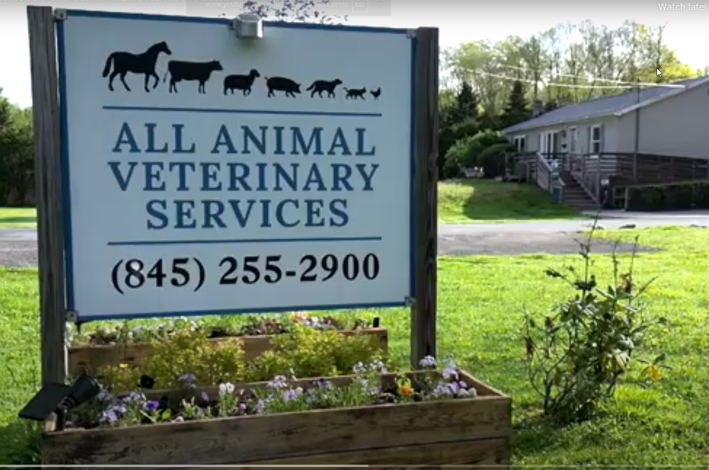 Zoonotic Diseases, A sign for a vet service with their phone number